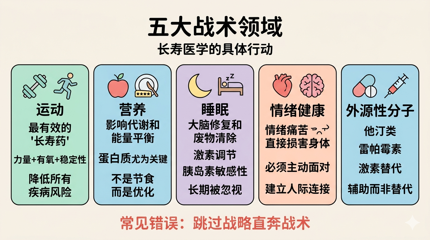 五大战术领域